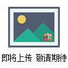 B型四氟磁力攪拌子